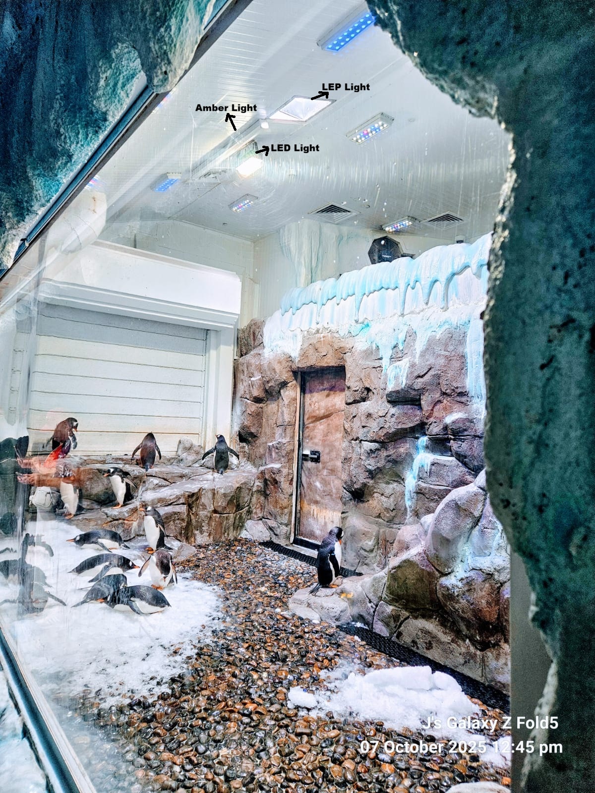 Penguinarium Dubai Mall