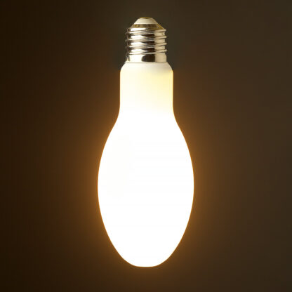LED Bulbs