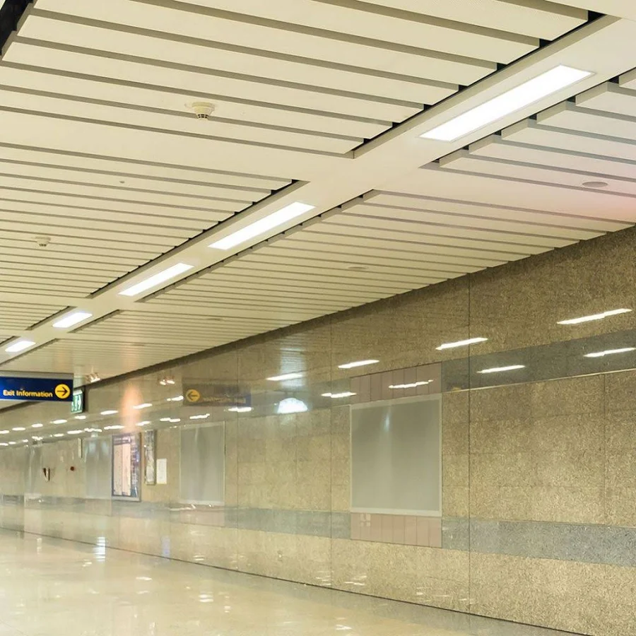 Linear Lights