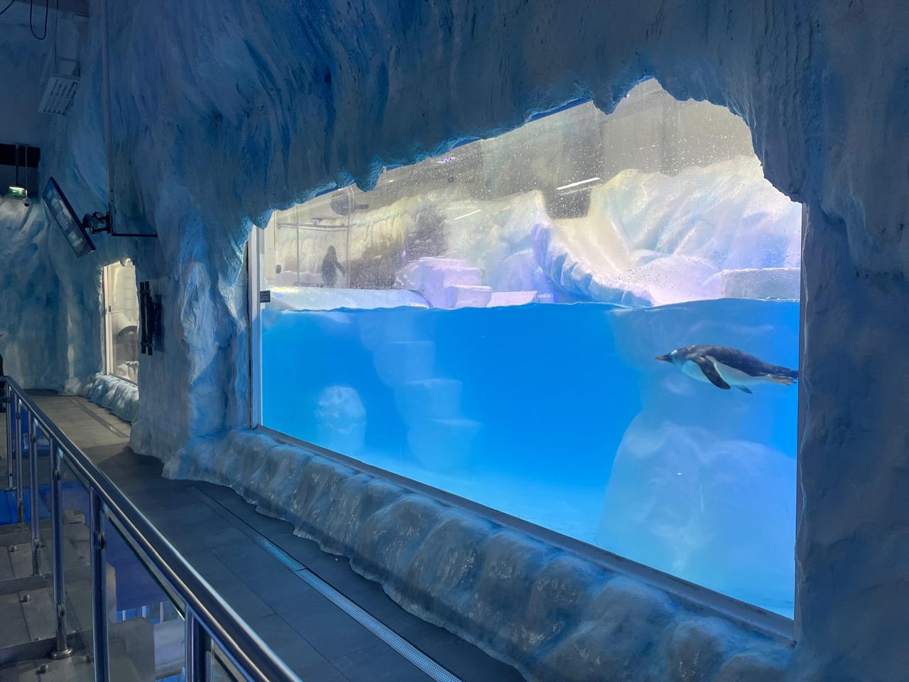 Penguinarium Dubai Mall