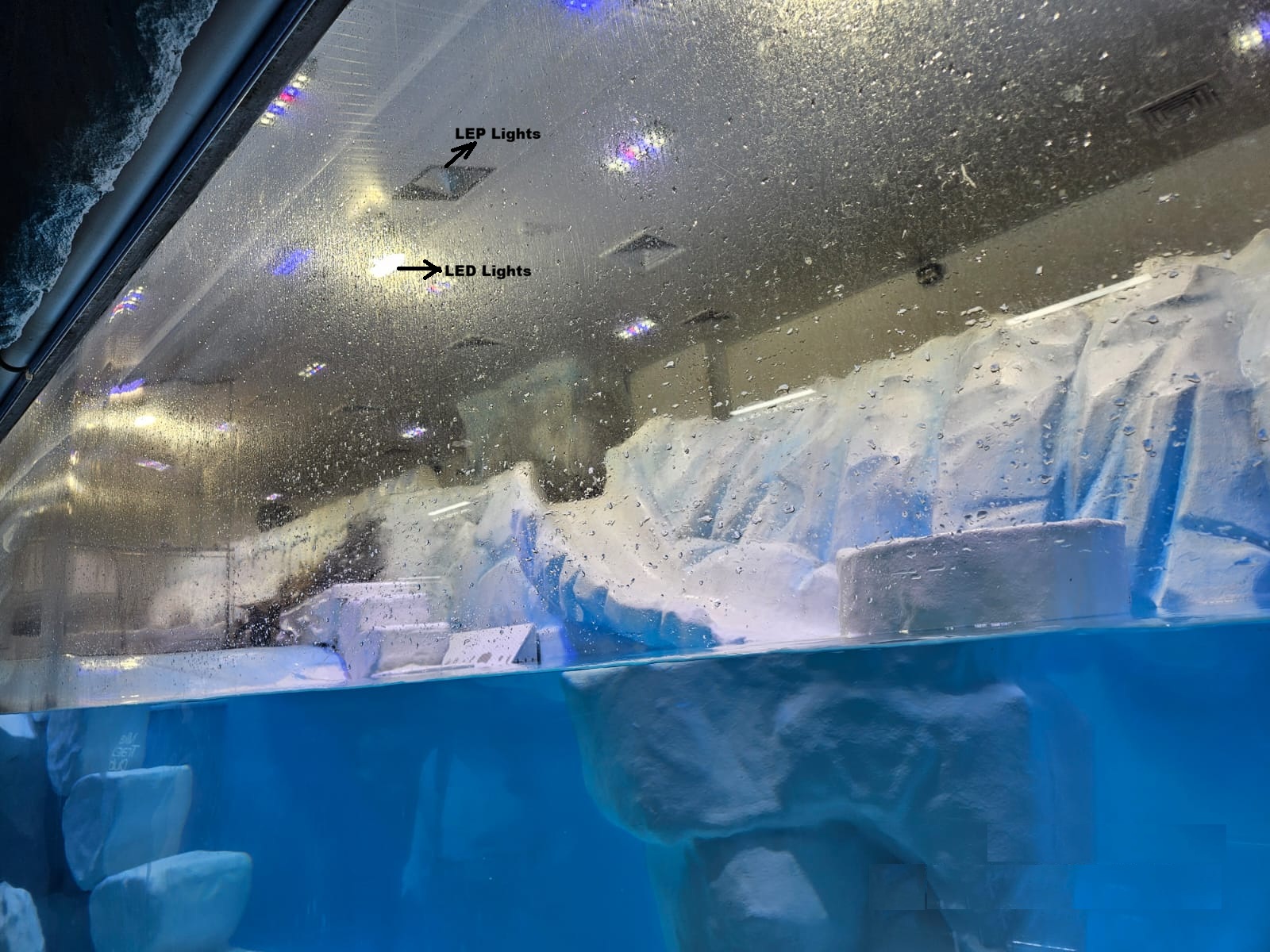 Swimming pool for Penguinarium